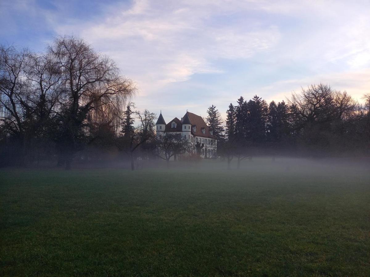 Château De Werde Matzenheim Exterior foto