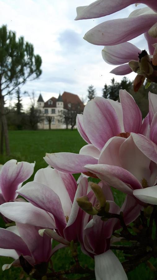 Château De Werde Matzenheim Exterior foto