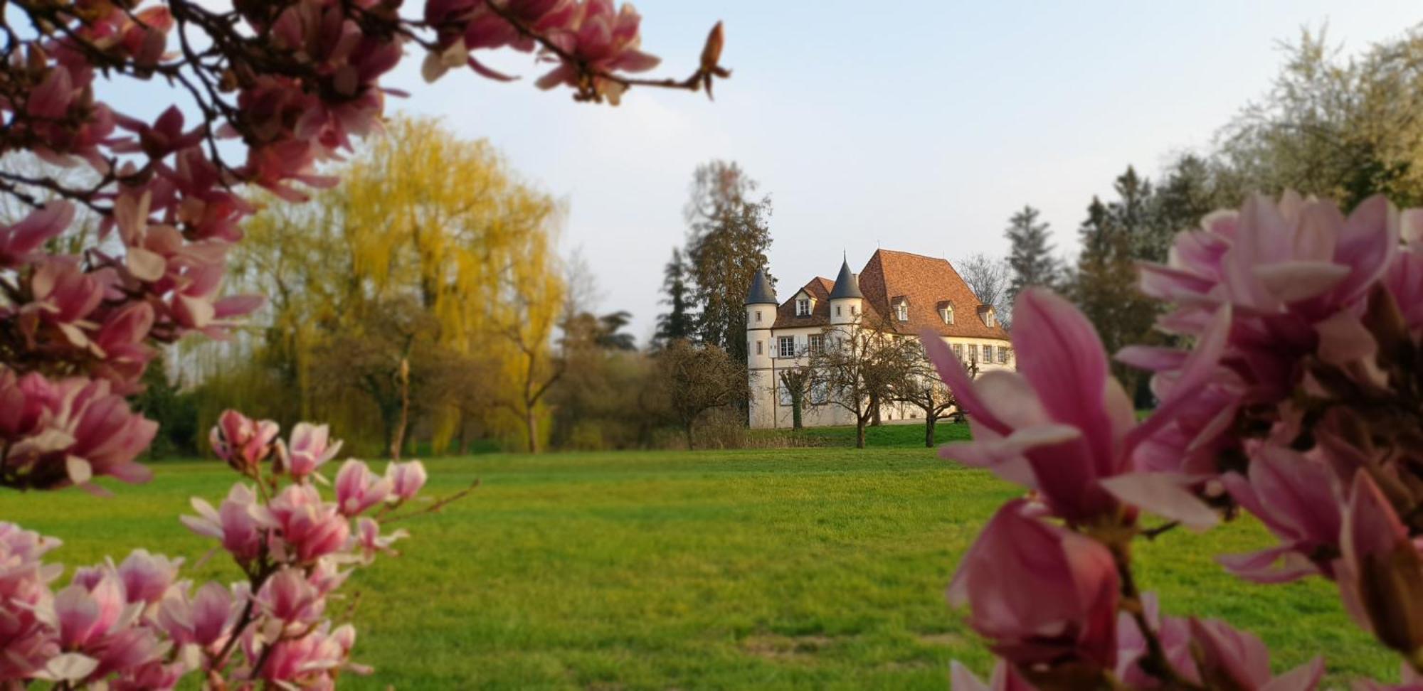 Château De Werde Matzenheim Exterior foto