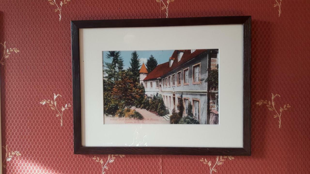 Château De Werde Matzenheim Exterior foto
